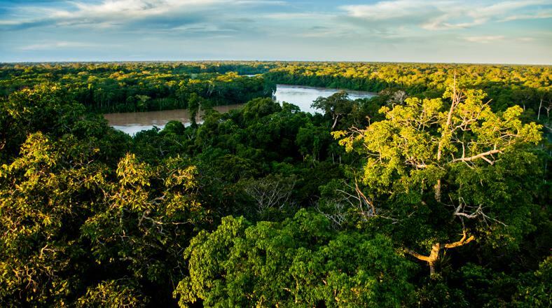 Descubre la Reserva Nacional Tambopata uno de los destinos maravillosos.